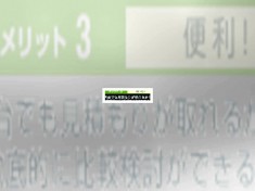 everygo-1-1