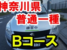 KANAGAWA-Drivers-License