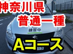 KANAGAWA-Drivers-License1